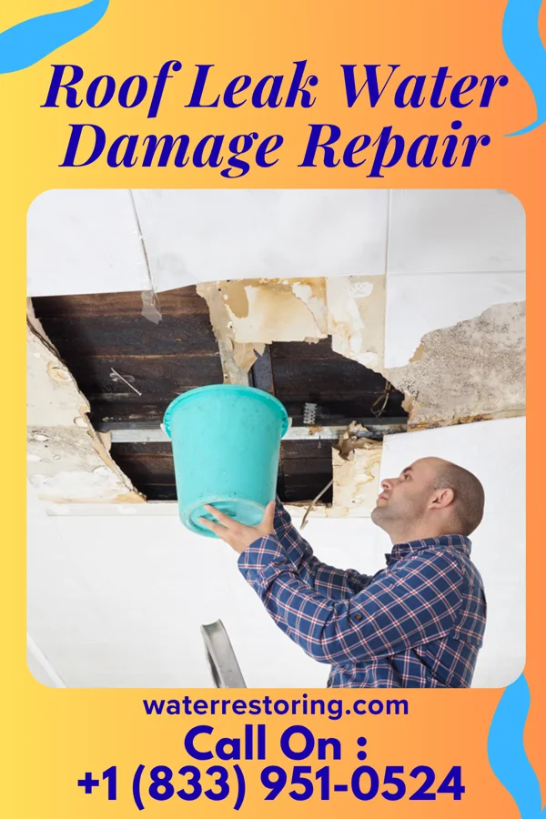 Roof Leak Water Damage Repair in Lavaca, AR
