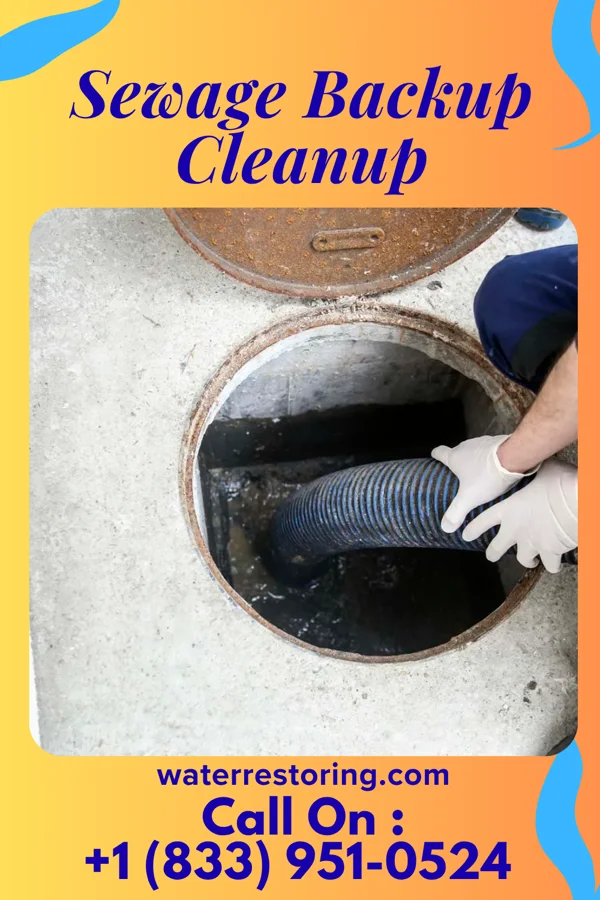 Sewage Backup Cleanup in Lavaca, AR